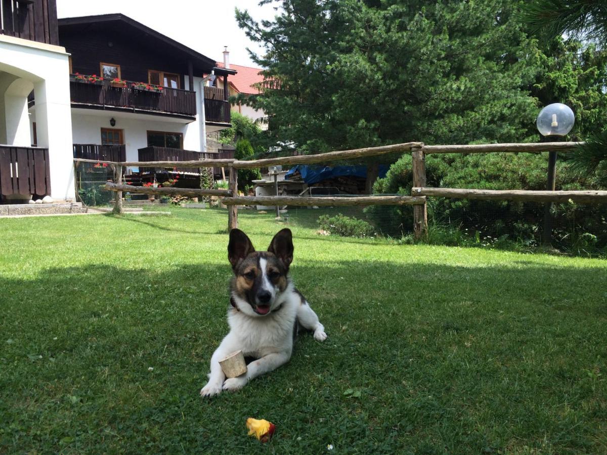 Penzion Pazicky Stará Lesná Extérieur photo